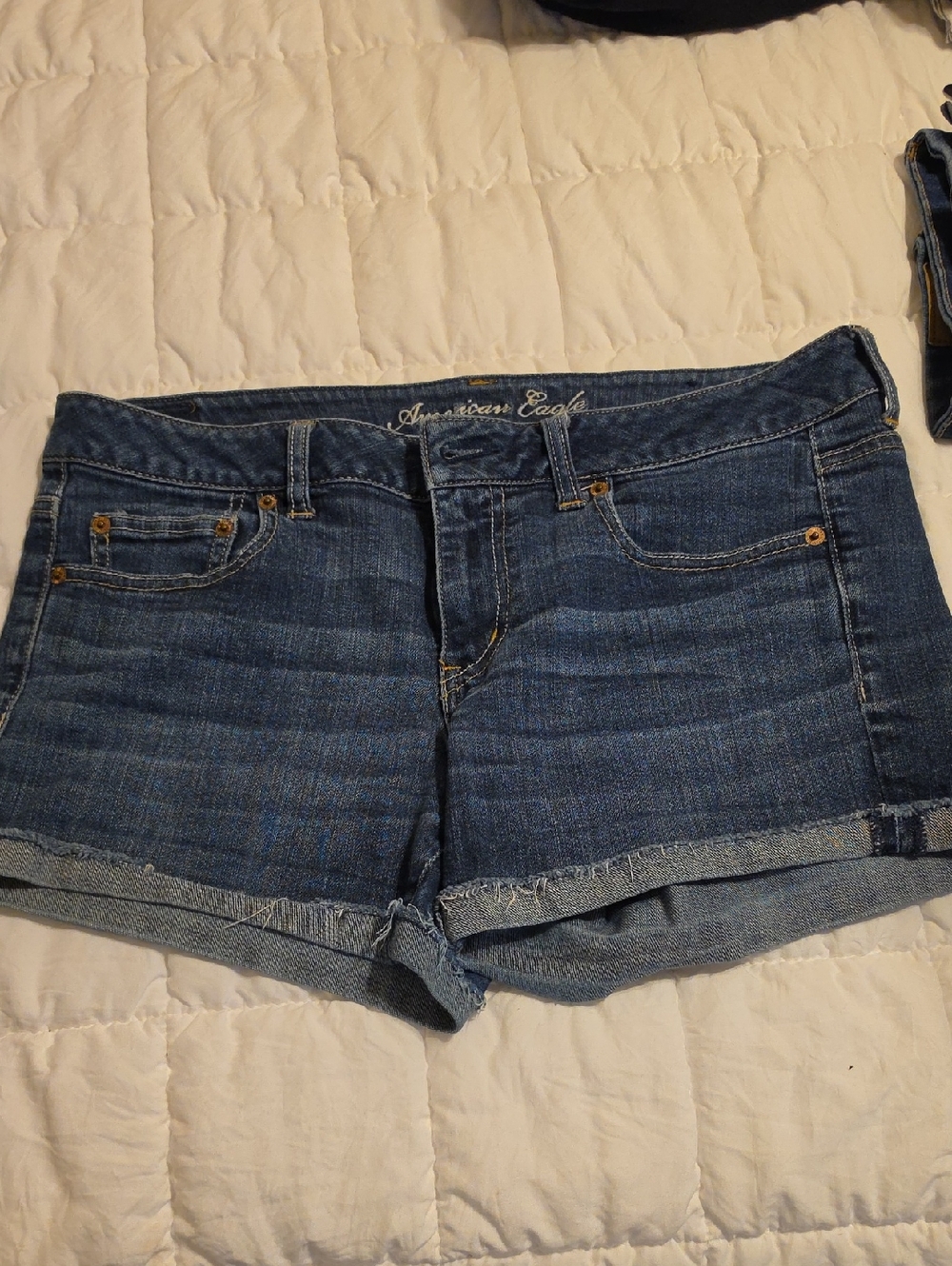AE Shortie Shorts